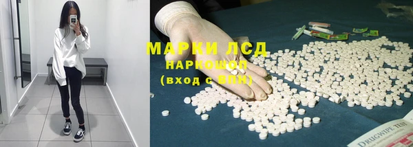 ГАЛЛЮЦИНОГЕННЫЕ ГРИБЫ Алексеевка