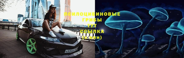 трава Костерёво
