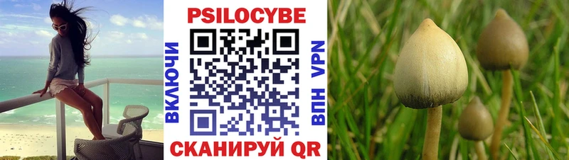 хочу   Москва  Галлюциногенные грибы Magic Shrooms 